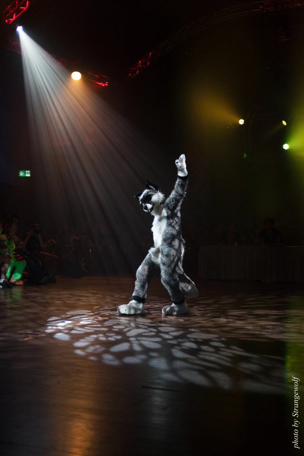 full image IMG_9281-lr16t.jpg