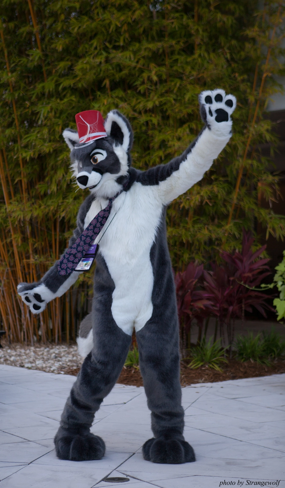 full image IMG_8361-lr16t.jpg