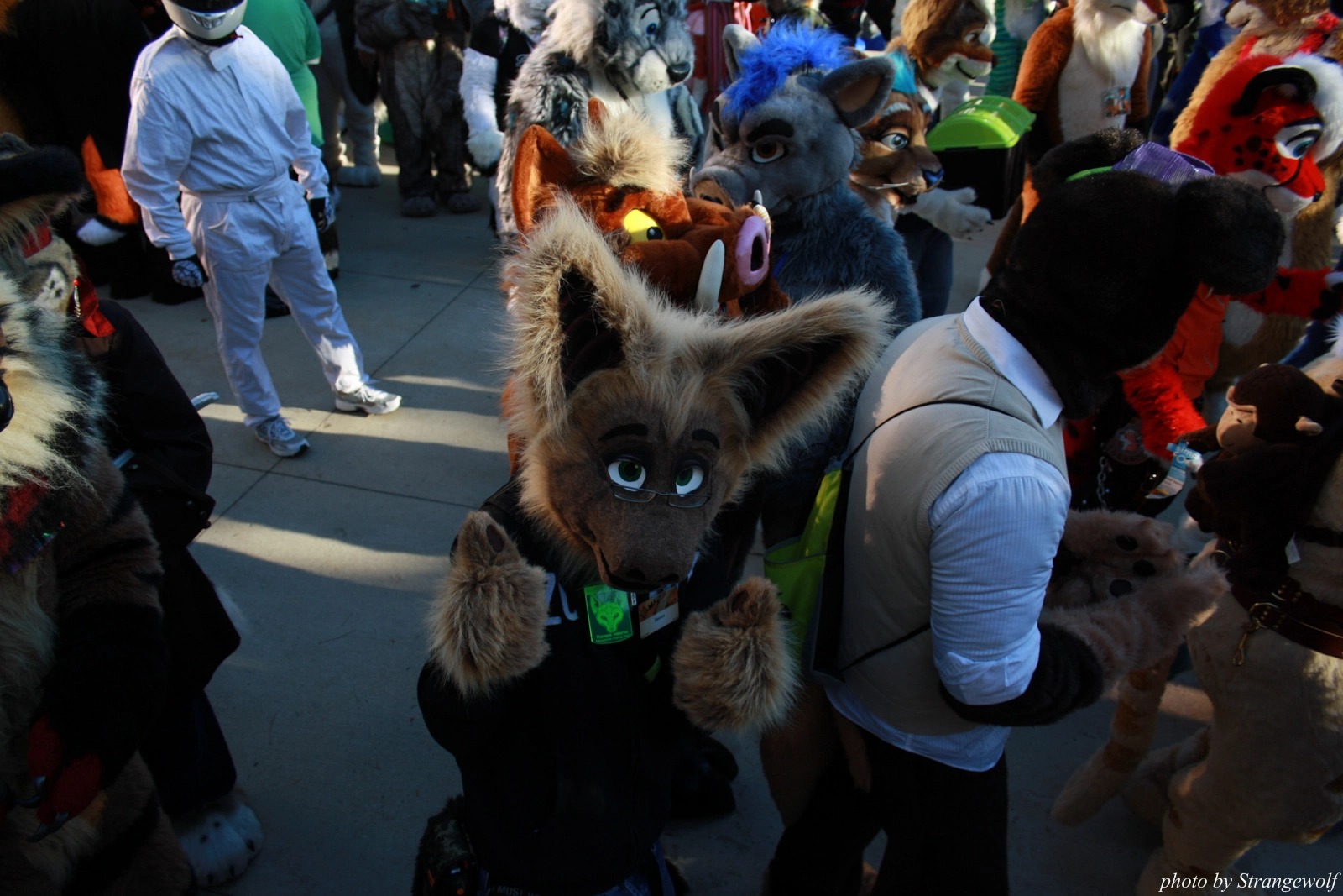 full image IMG_0667-lr.jpg