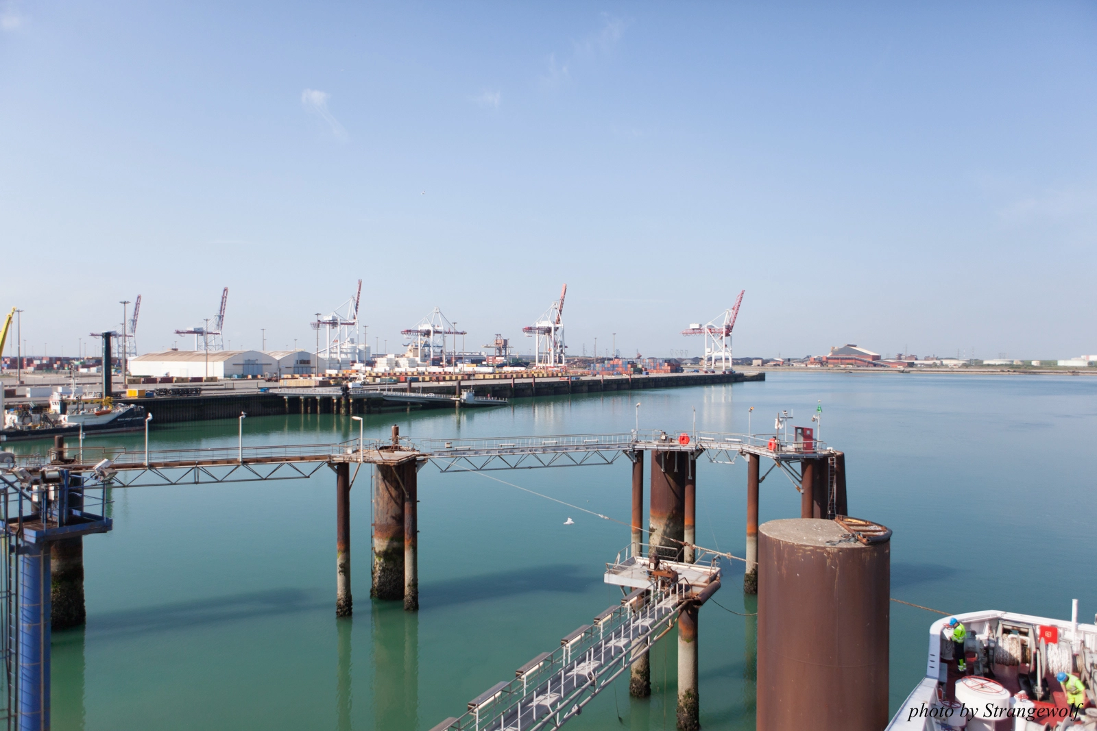 full image IMG_7114-lr16t.jpg