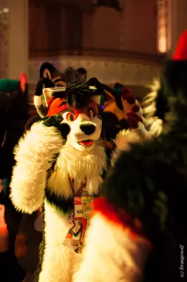IMG_2971-lr19t.jpg of ANE/ANE2022/