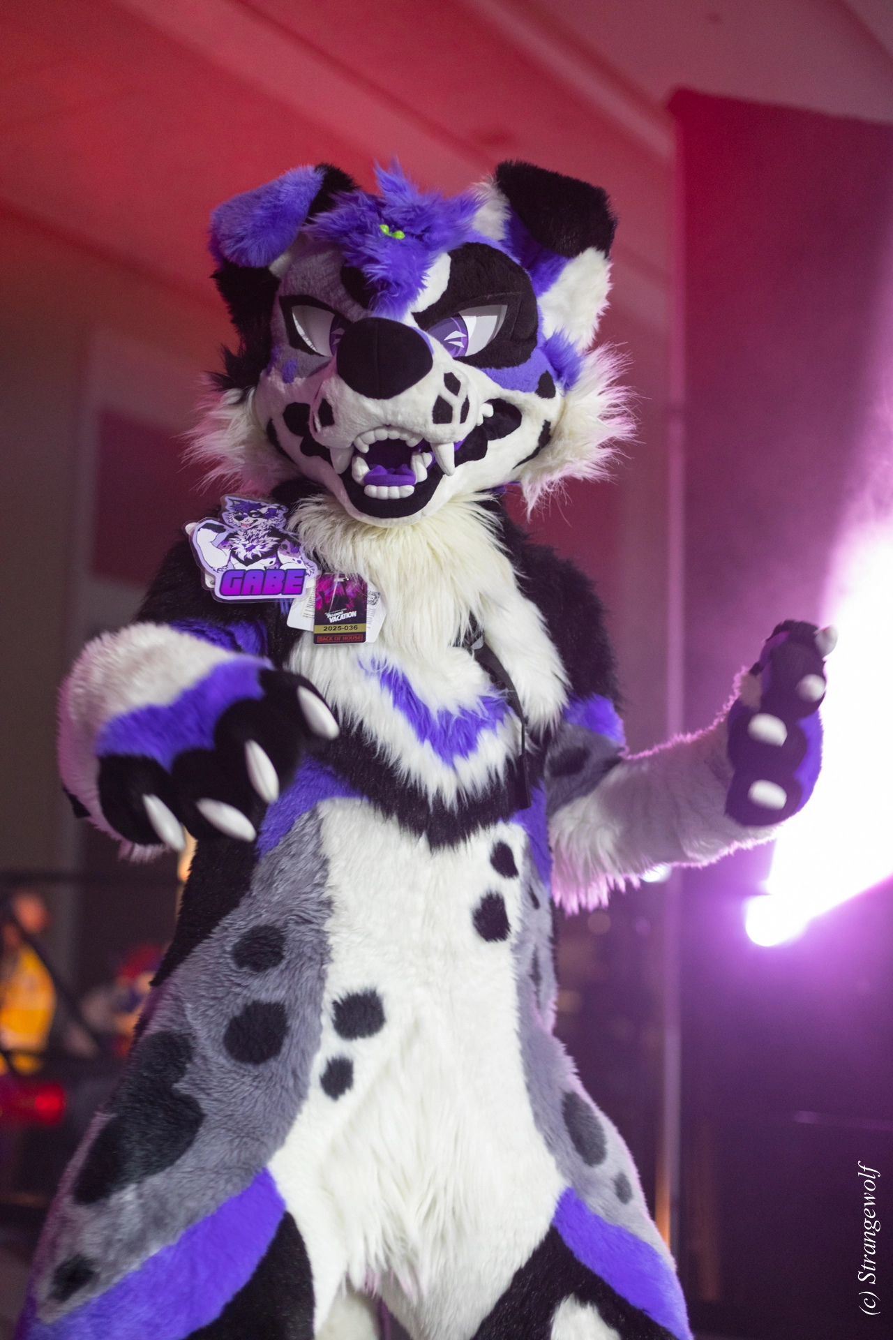 full image 1R3A0751-lr19t.jpg