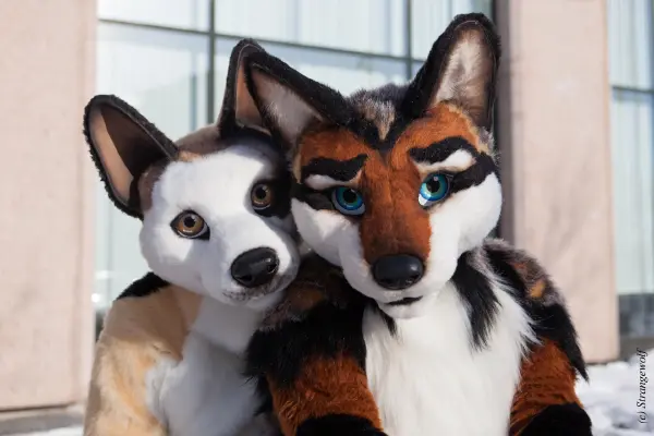 IMG_0072-lr19t.jpg of NFC/NFC2018/