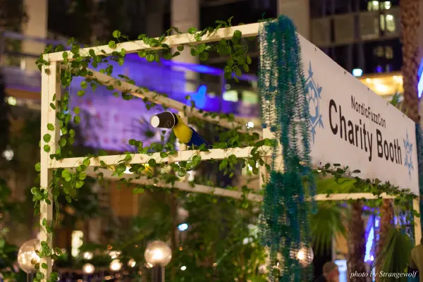 IMG_9299-lr19t.jpg of NFC/NFC2018/