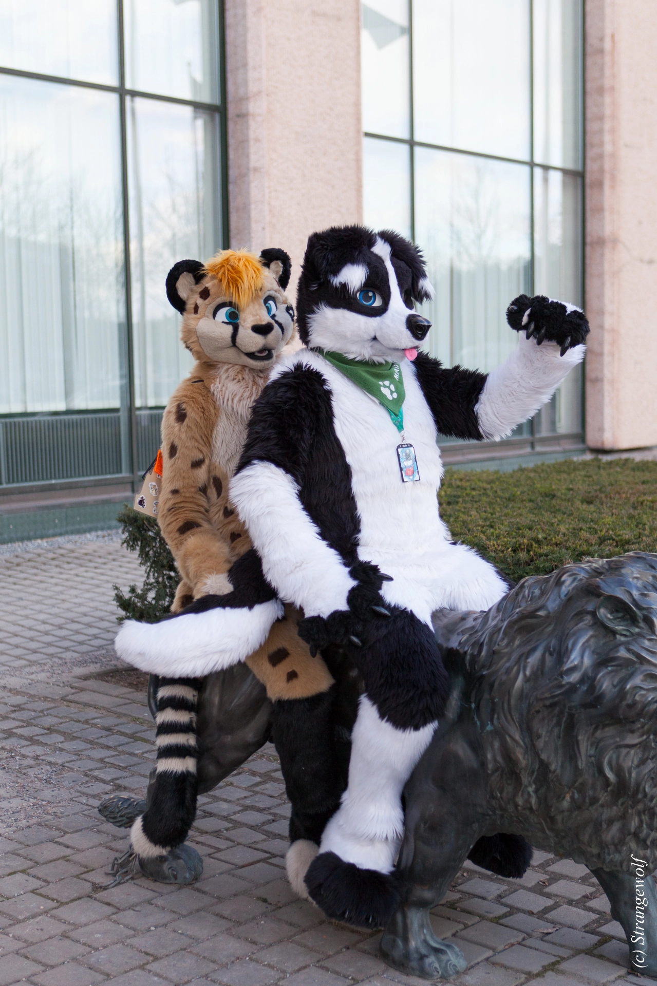 full image IMG_8797-lr19t.jpg