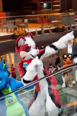IMG_8522-lr19t.jpg of MFF/MFF2017/