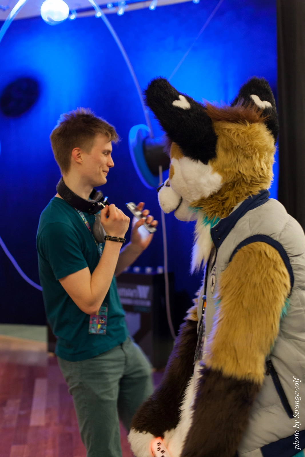 full image IMG_0264-lr16t.jpg