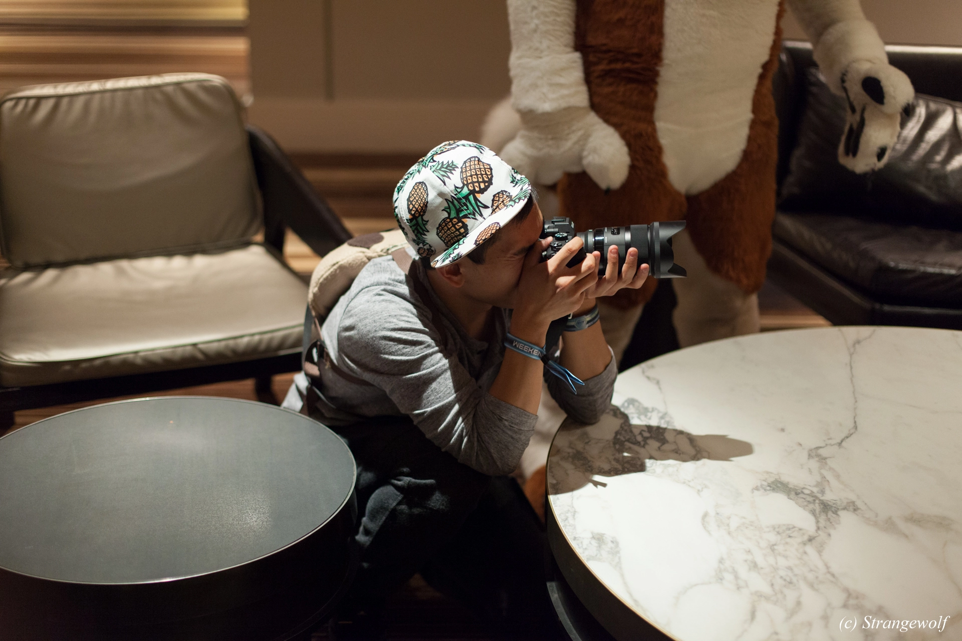 full image IMG_1590-lr19t.jpg