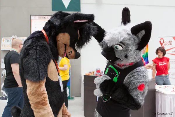 IMG_5322-lr19t.jpg of EF/EF24/