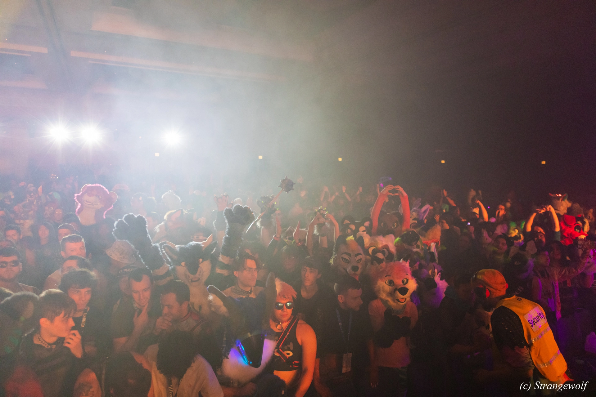 full image 1R3A7259-lr19t.jpg