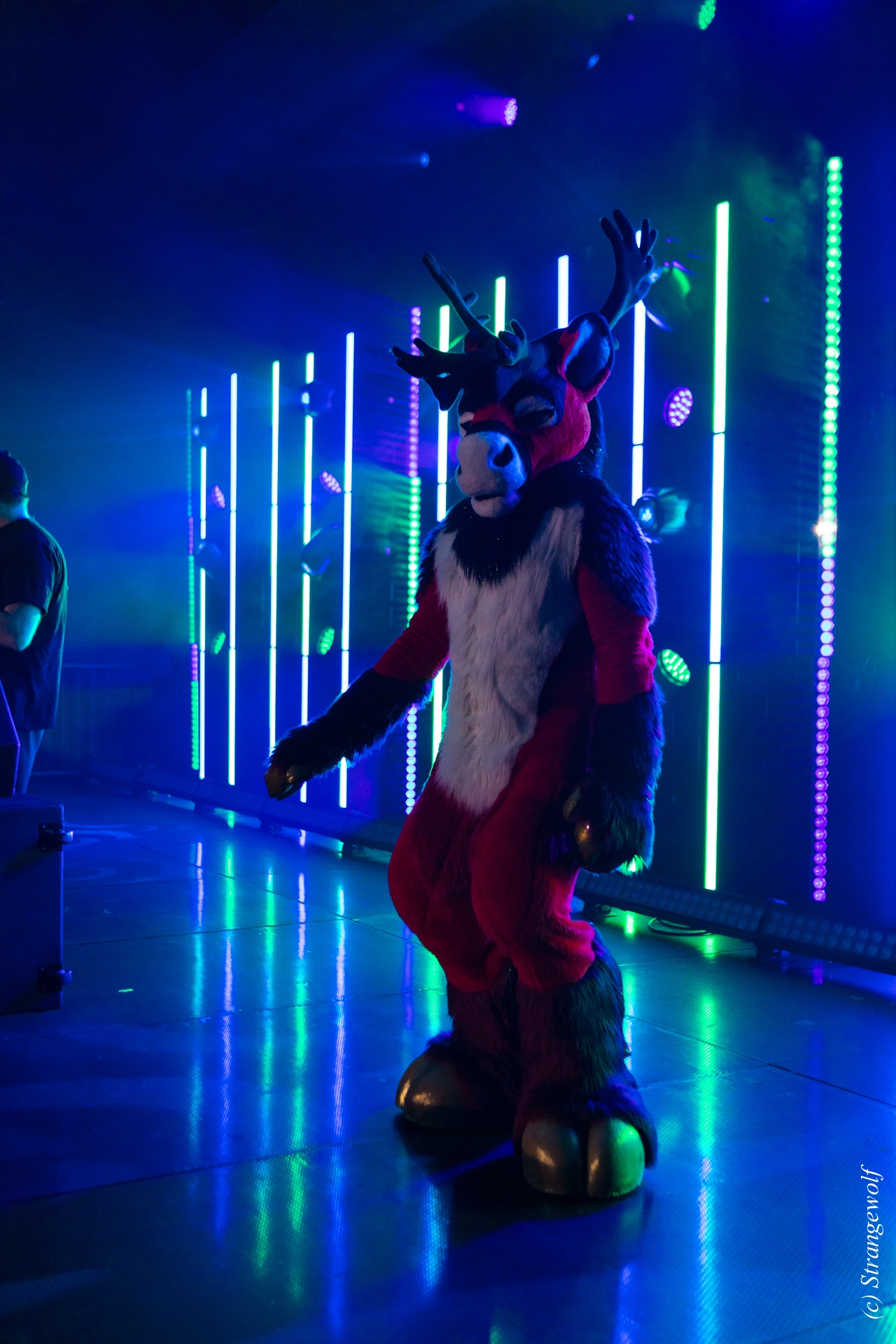 full image 1R3A5130-lr19t.jpg