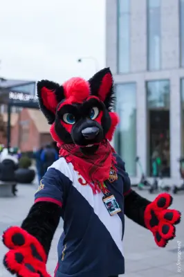 IMG_8600-lr19t.jpg of NFC/NFC2020/