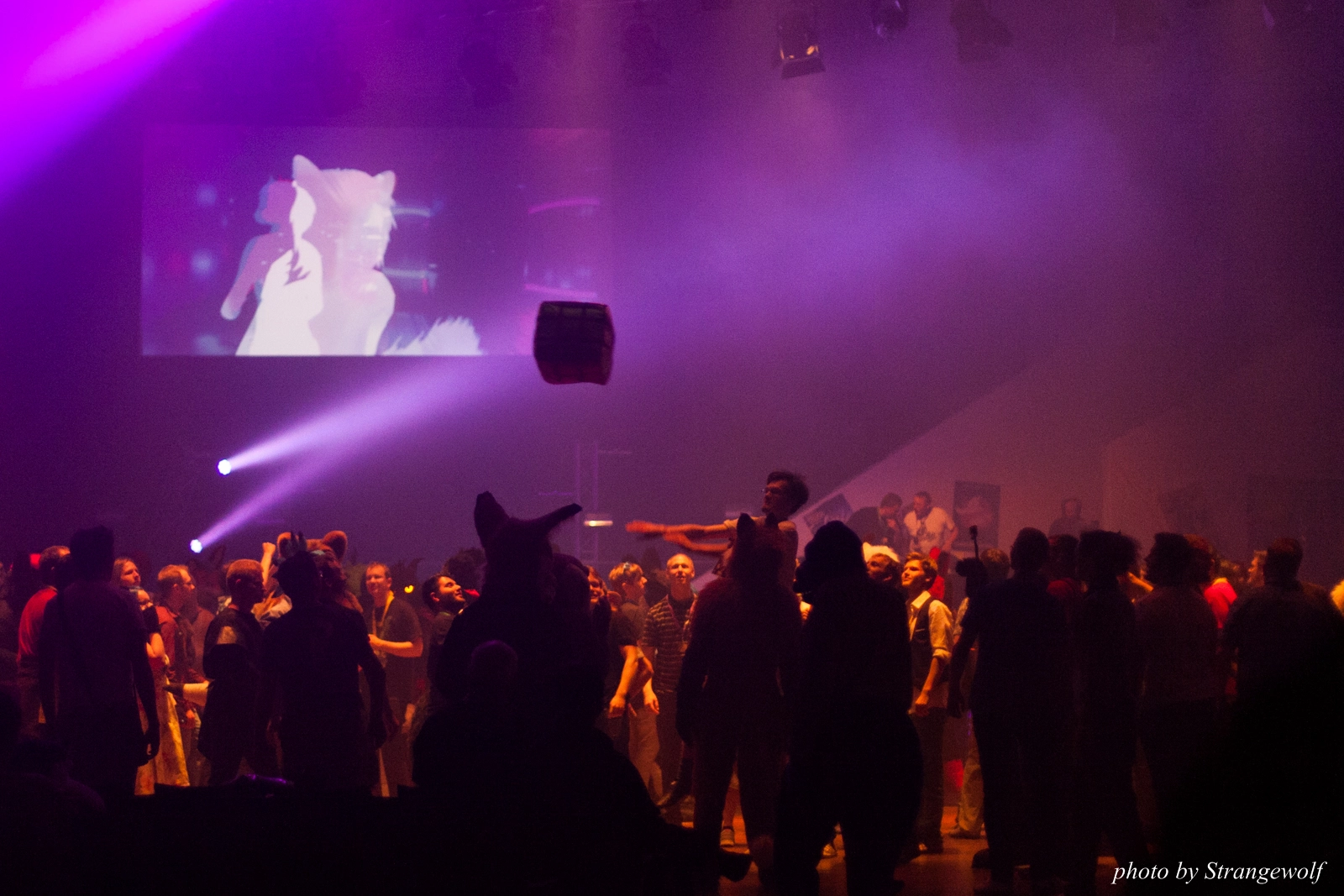 full image IMG_1658-lr16t.jpg
