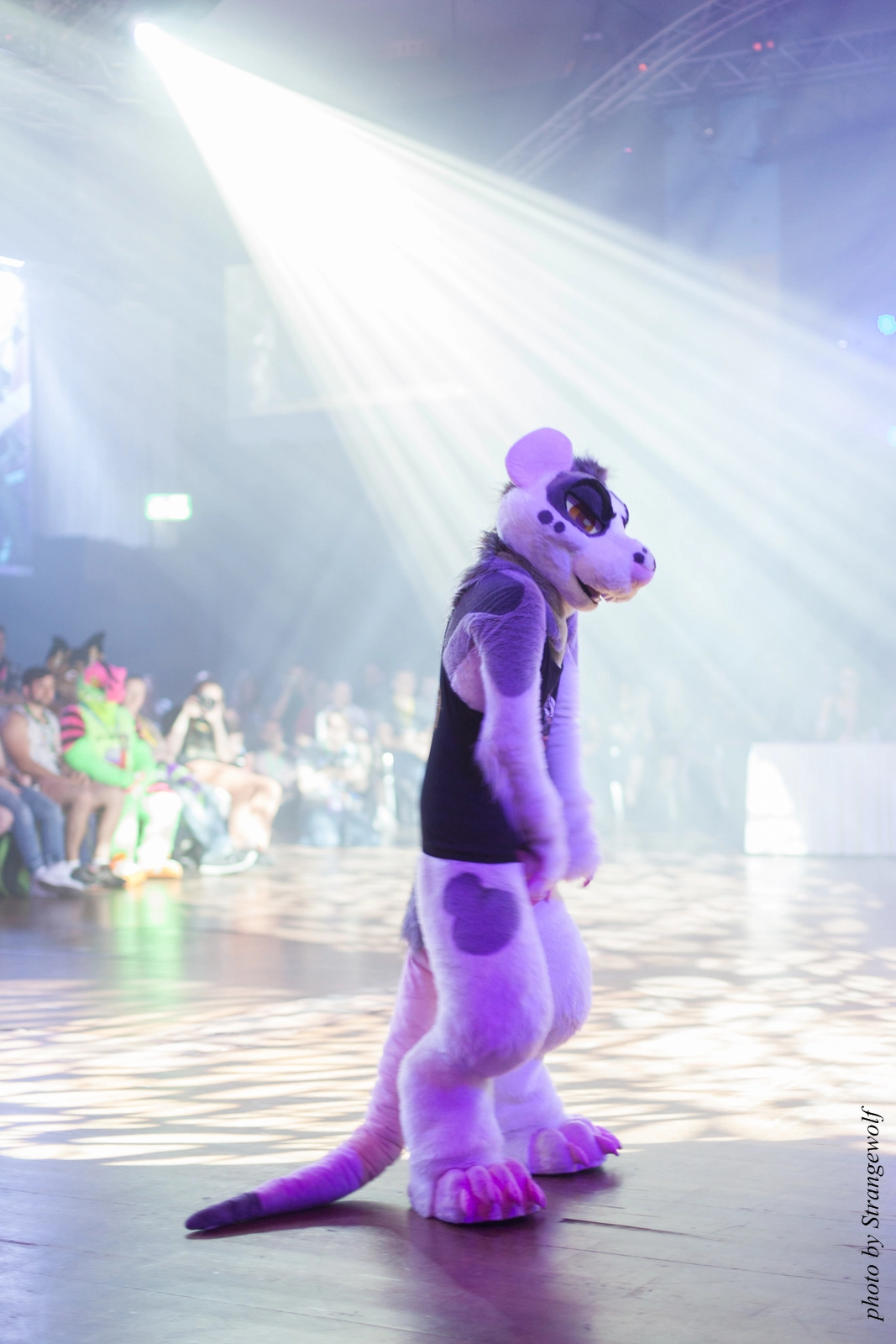 full image IMG_9081-lr16t.jpg