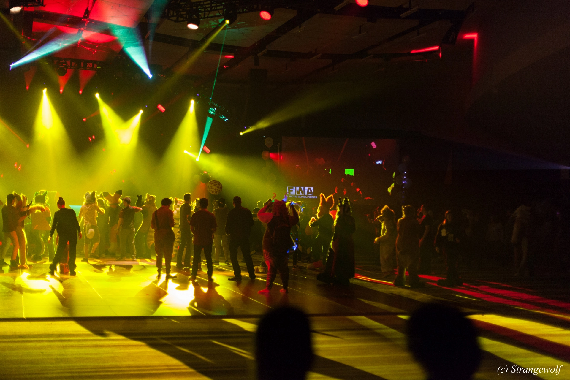 full image IMG_2043-lr19t.jpg