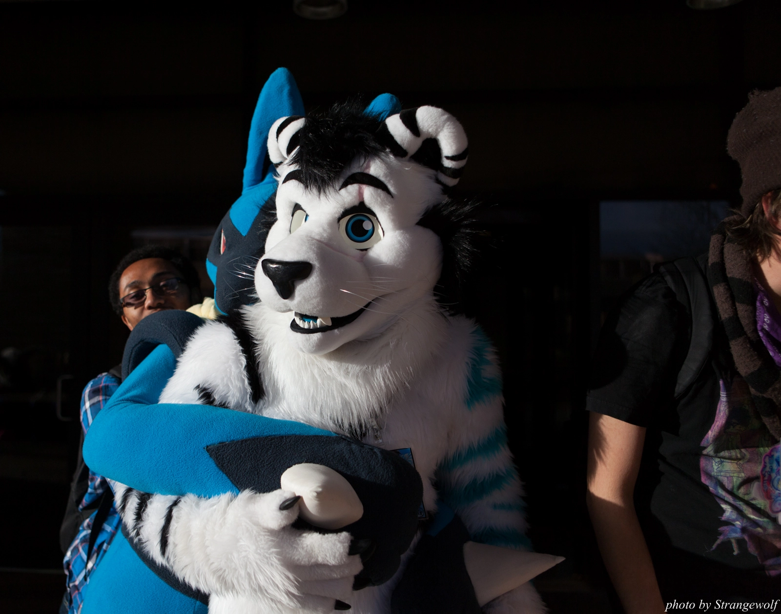 full image IMG_6007-lr16t.jpg