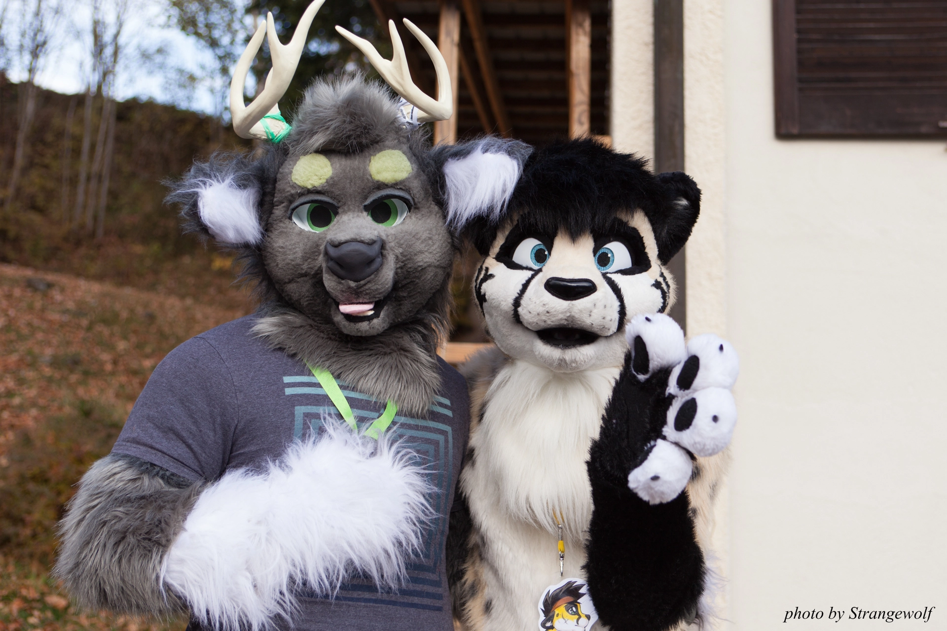 full image IMG_7872-lr19t.jpg