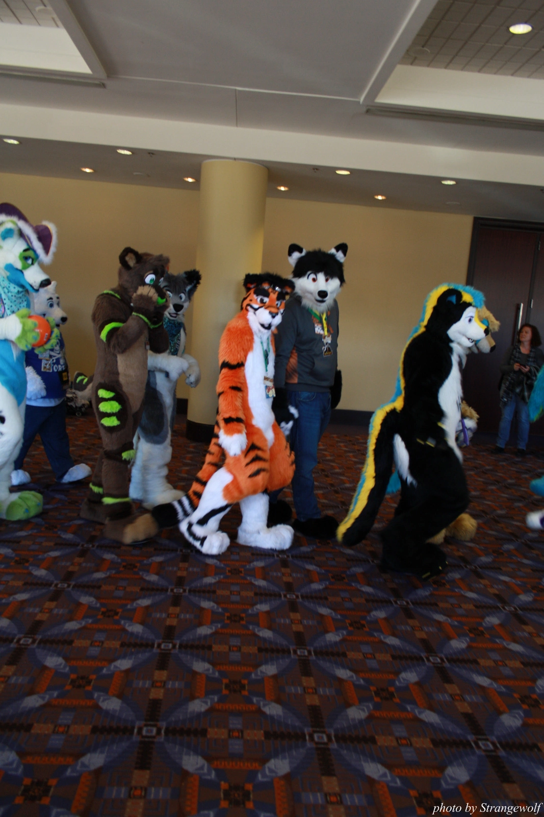 full image IMG_0509-lr.jpg