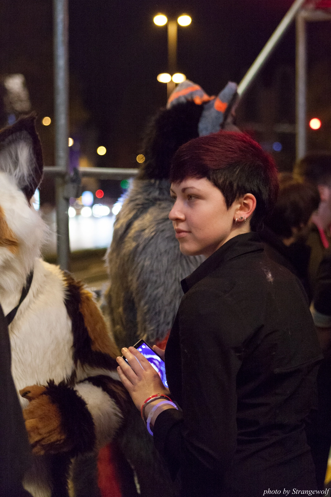 full image IMG_5445-lr16t.jpg