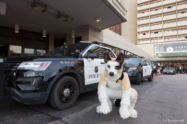 IMG_8425-lr19t.jpg of MFF/MFF2017/