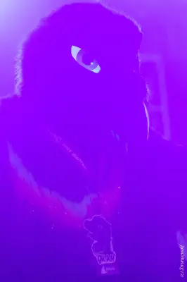 1R3A0552-lr19t.jpg of MFF/MFF2025/