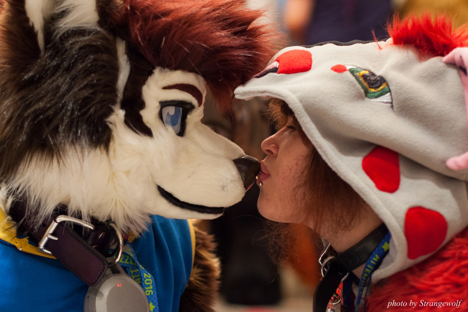 full image IMG_7669-lr16t-2.jpg