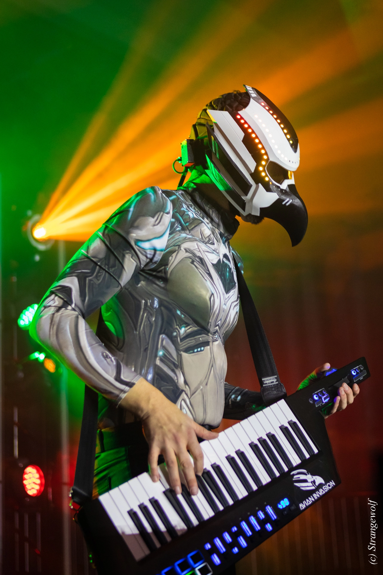 full image 1R3A4786-lr19t.jpg