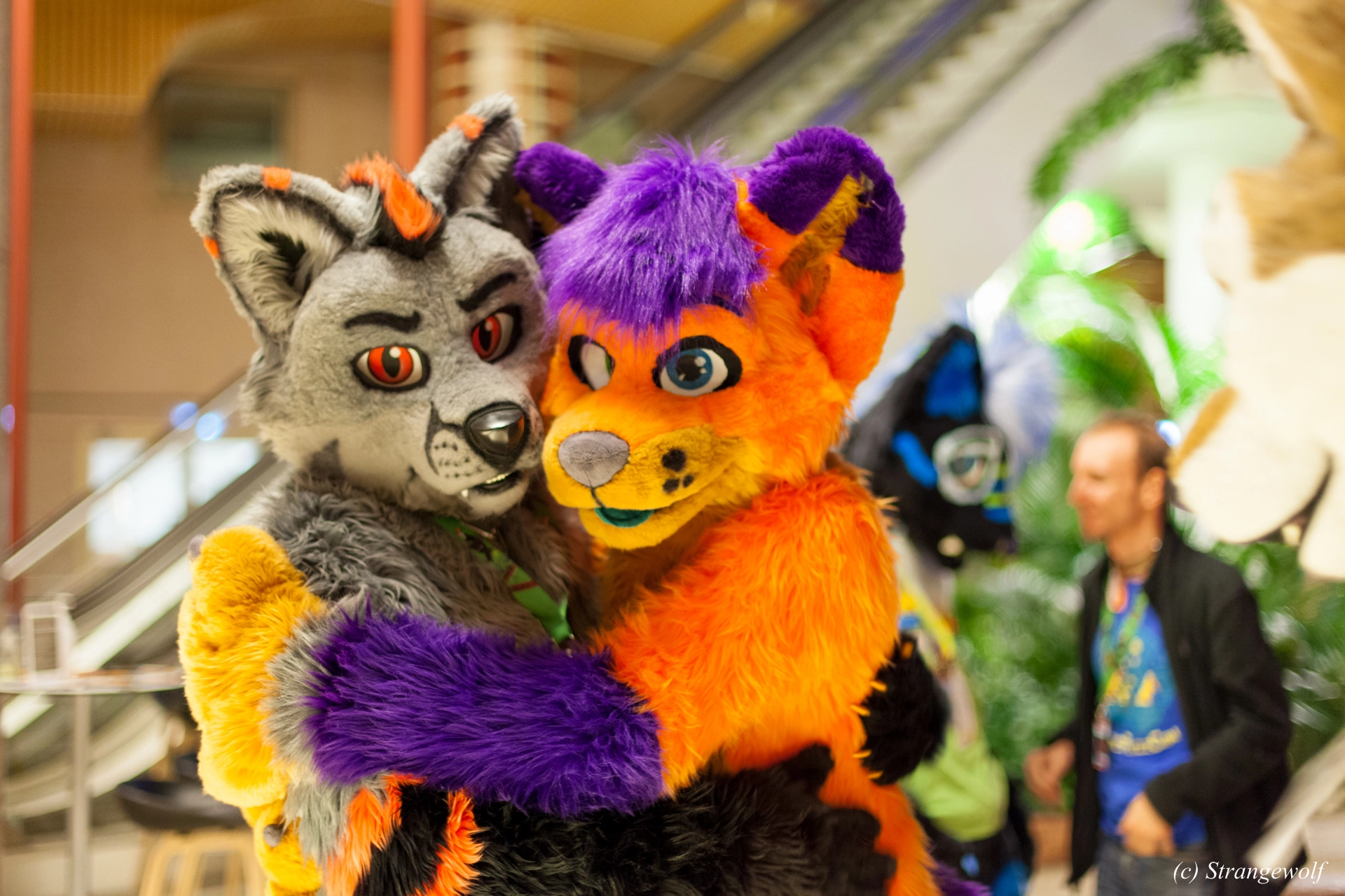 full image IMG_0882-lr19t.jpg