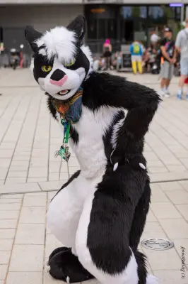 1R3A9185-lr19t.jpg of EF/EF29/