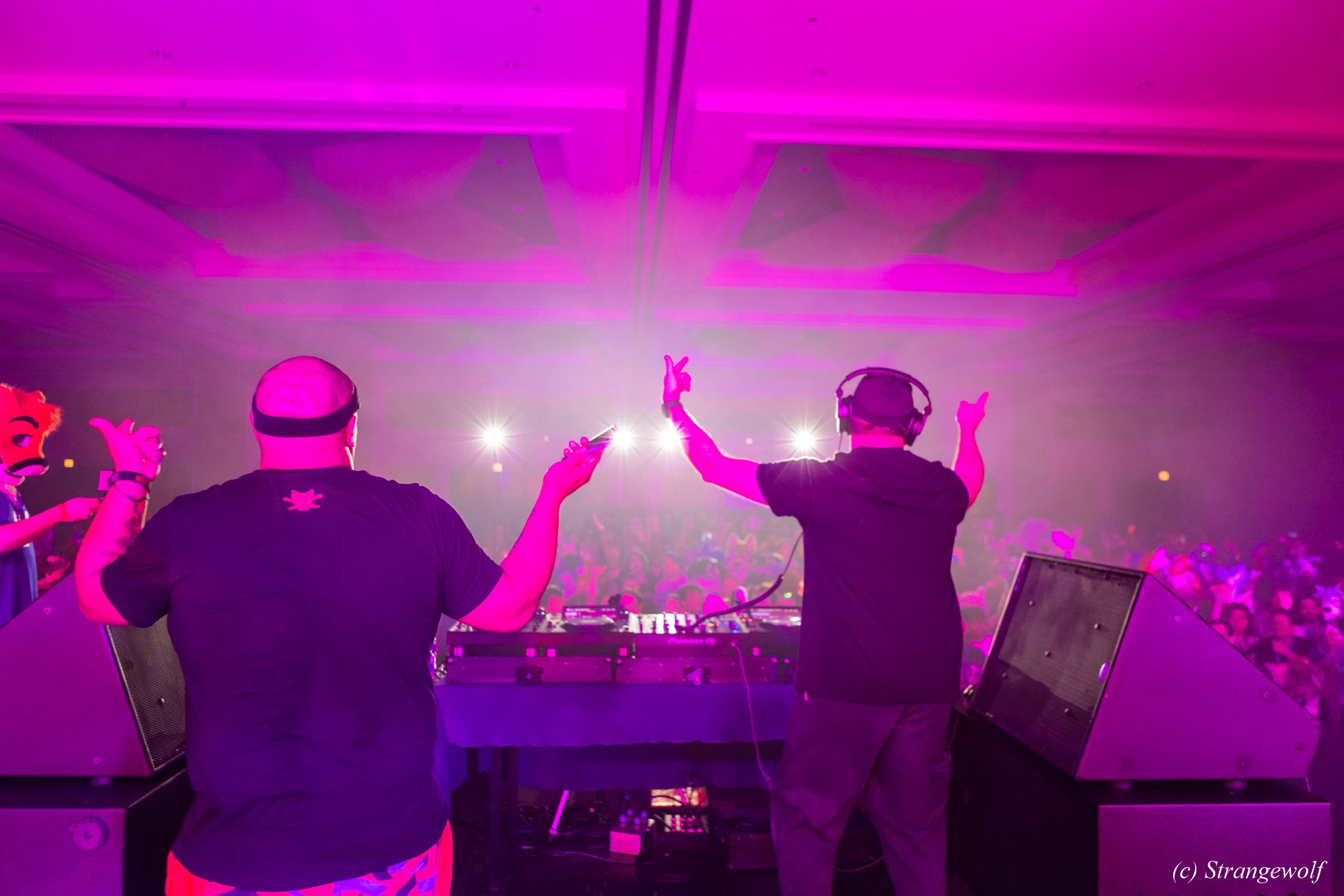 full image 1R3A5320-lr19t.jpg