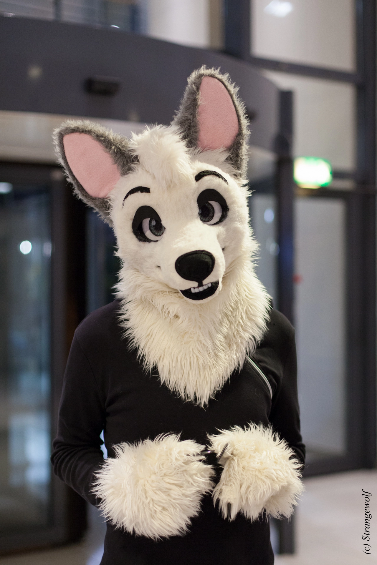 full image IMG_5415-lr19t.jpg