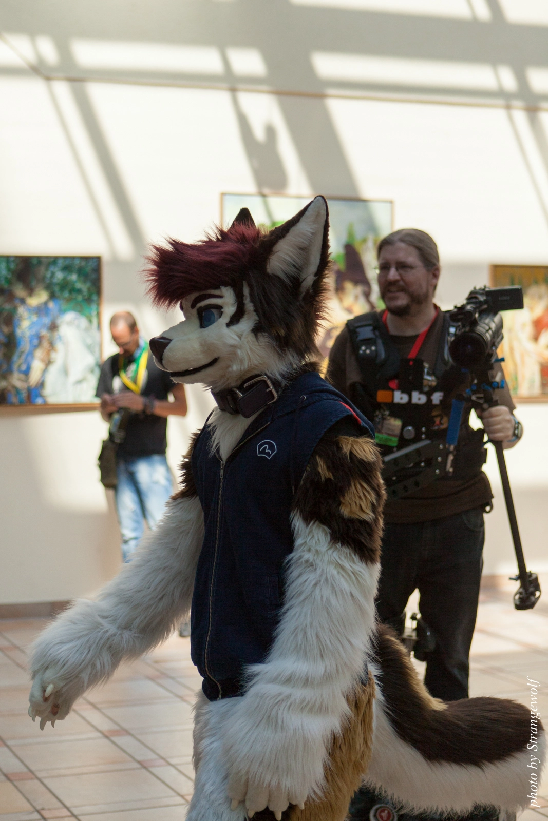 full image IMG_1860-lr16t.jpg