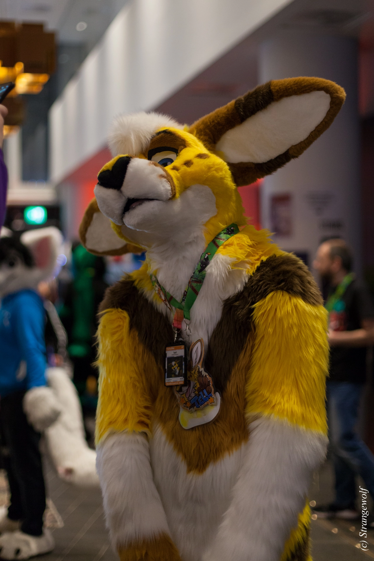 full image IMG_9130-lr19t.jpg