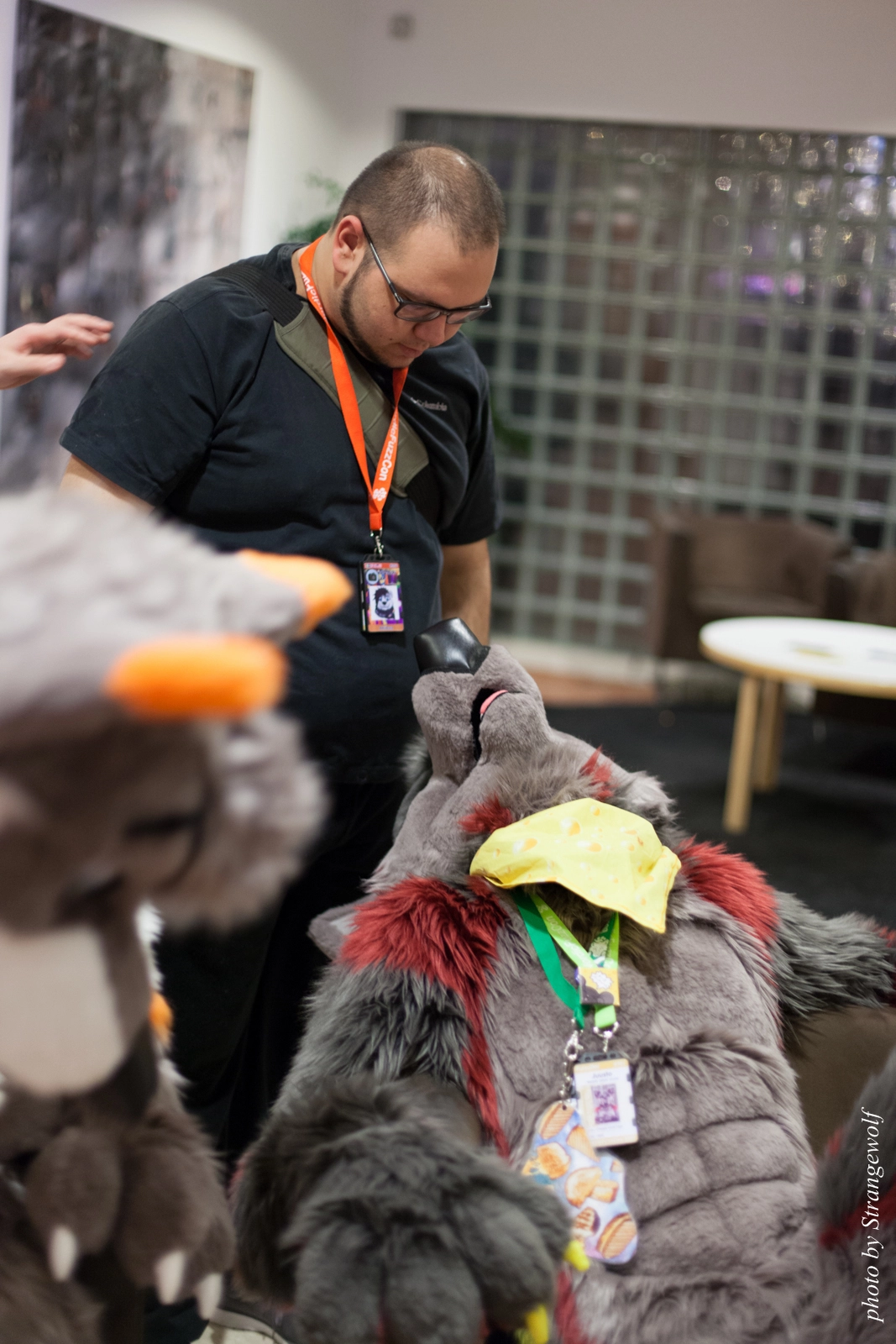 full image IMG_1633-lr16t.jpg