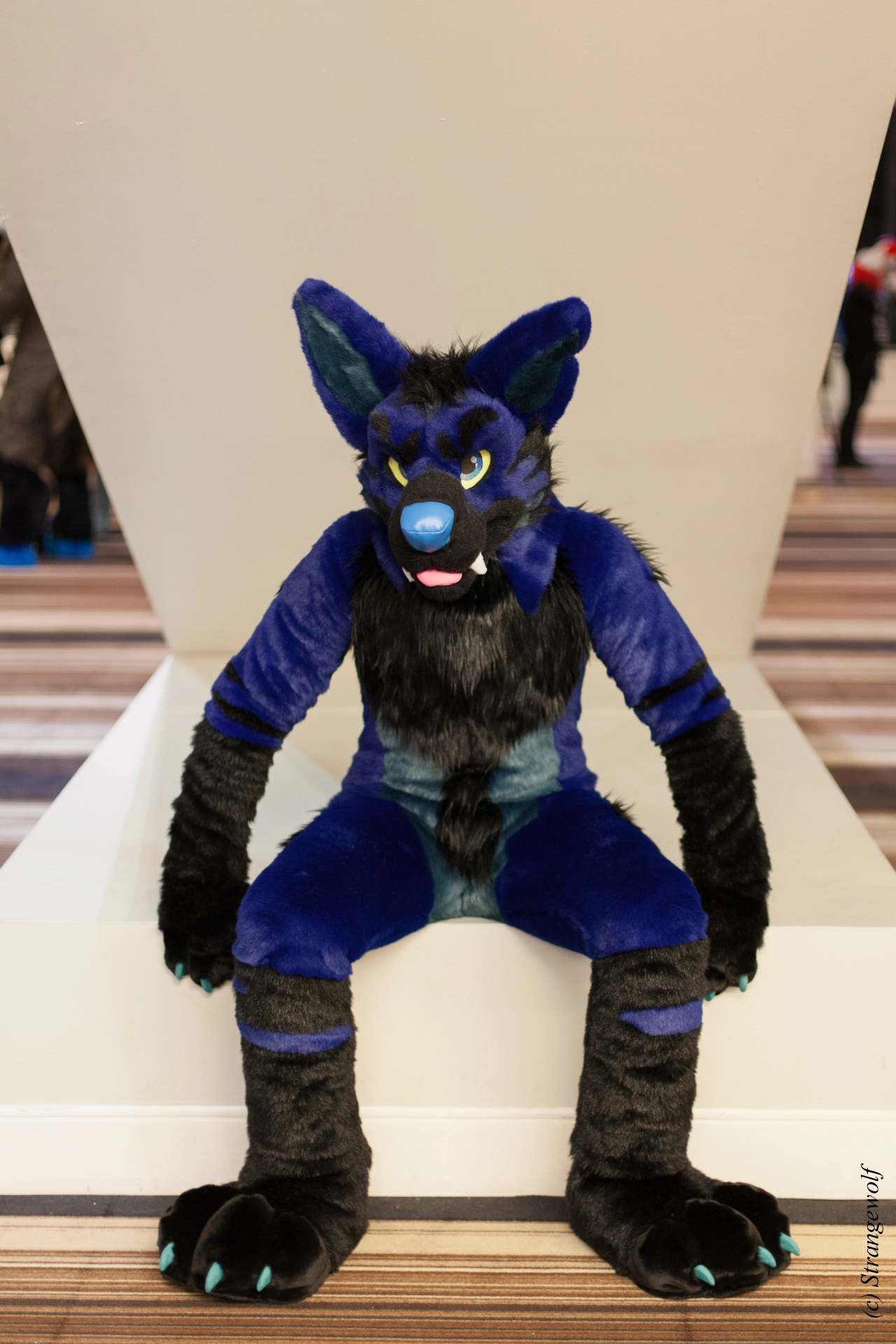 full image IMG_1842-lr19t.jpg