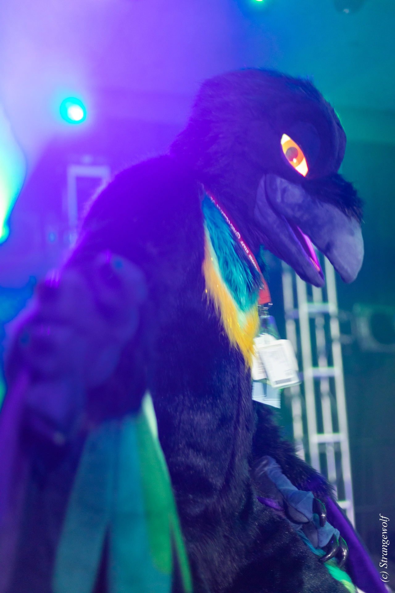 full image 1R3A0548-lr19t.jpg