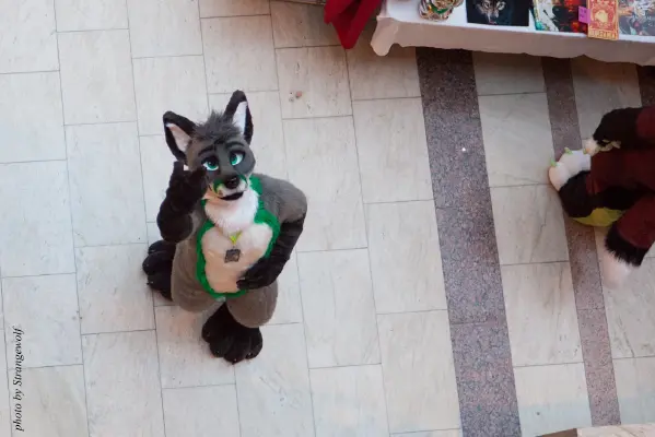 IMG_1529-lr16t2.jpg of NFC/NFC2017/