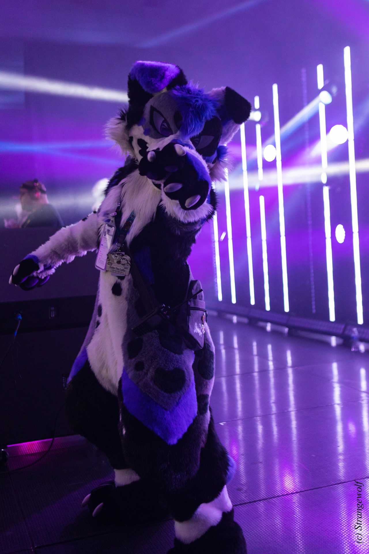 full image 1R3A5505-lr19t.jpg