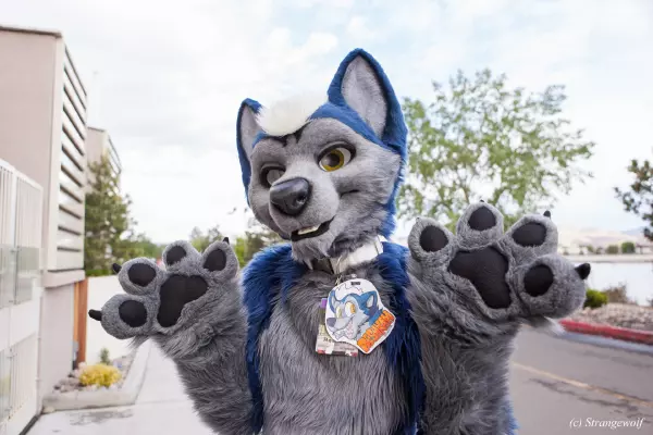 IMG_2658-lr19t.jpg of BLFC/2018/