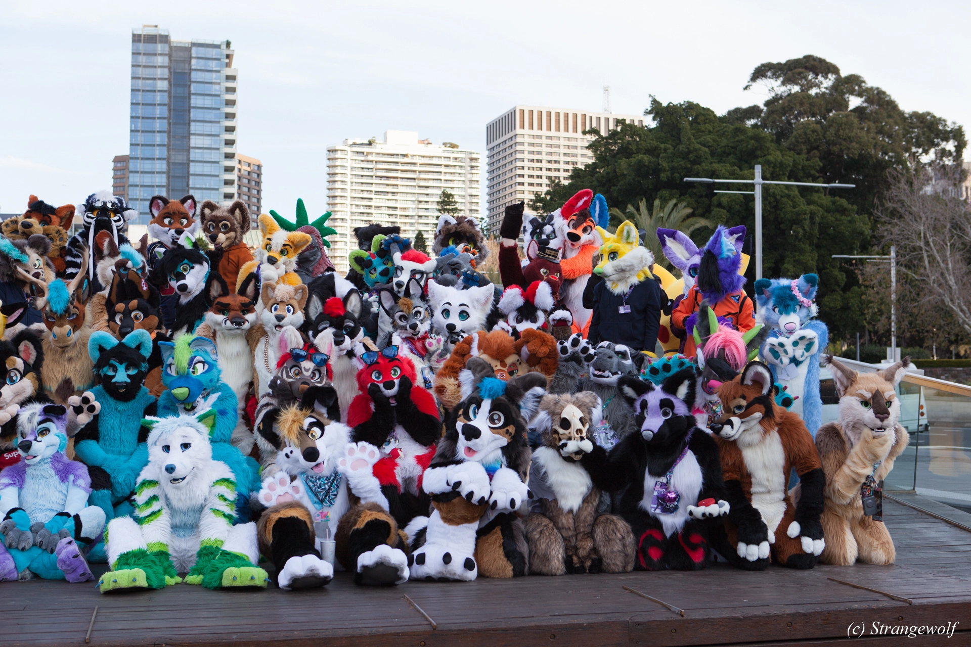 full image IMG_4630-lr19t.jpg