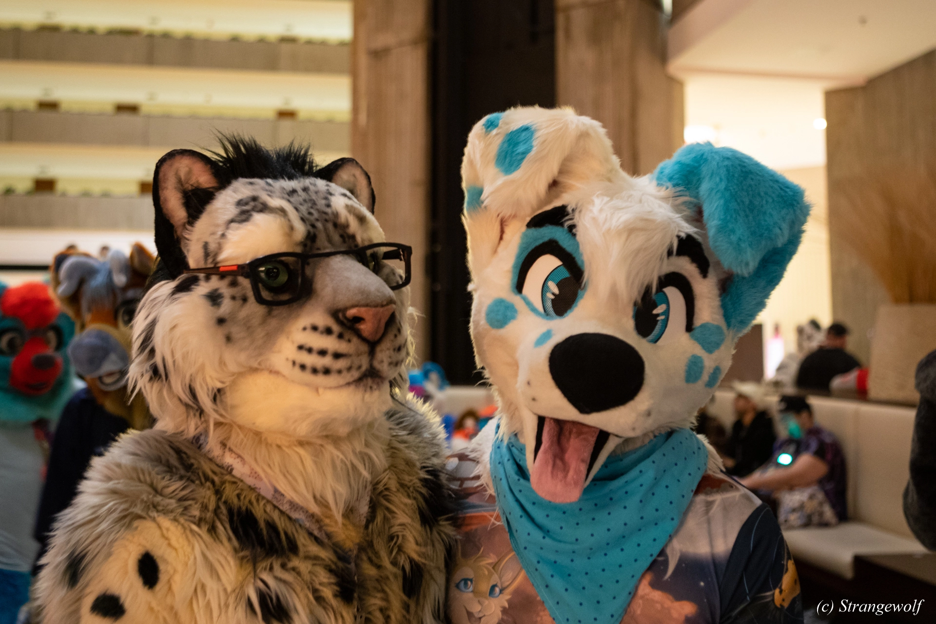 full image 1R3A0278-lr19t.jpg