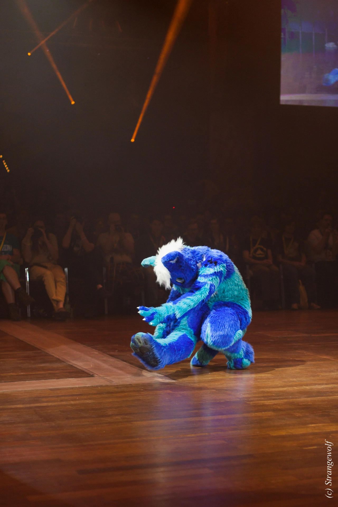 full image IMG_6409-lr19t.jpg