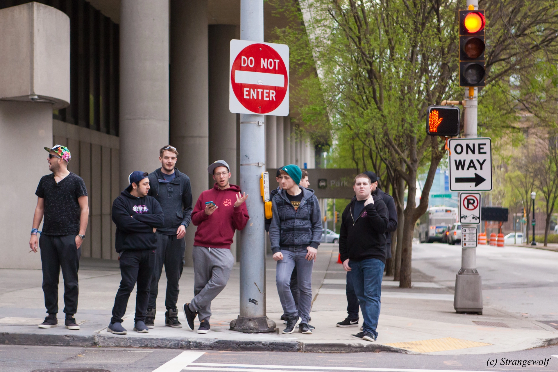 full image IMG_2209-lr19t.jpg