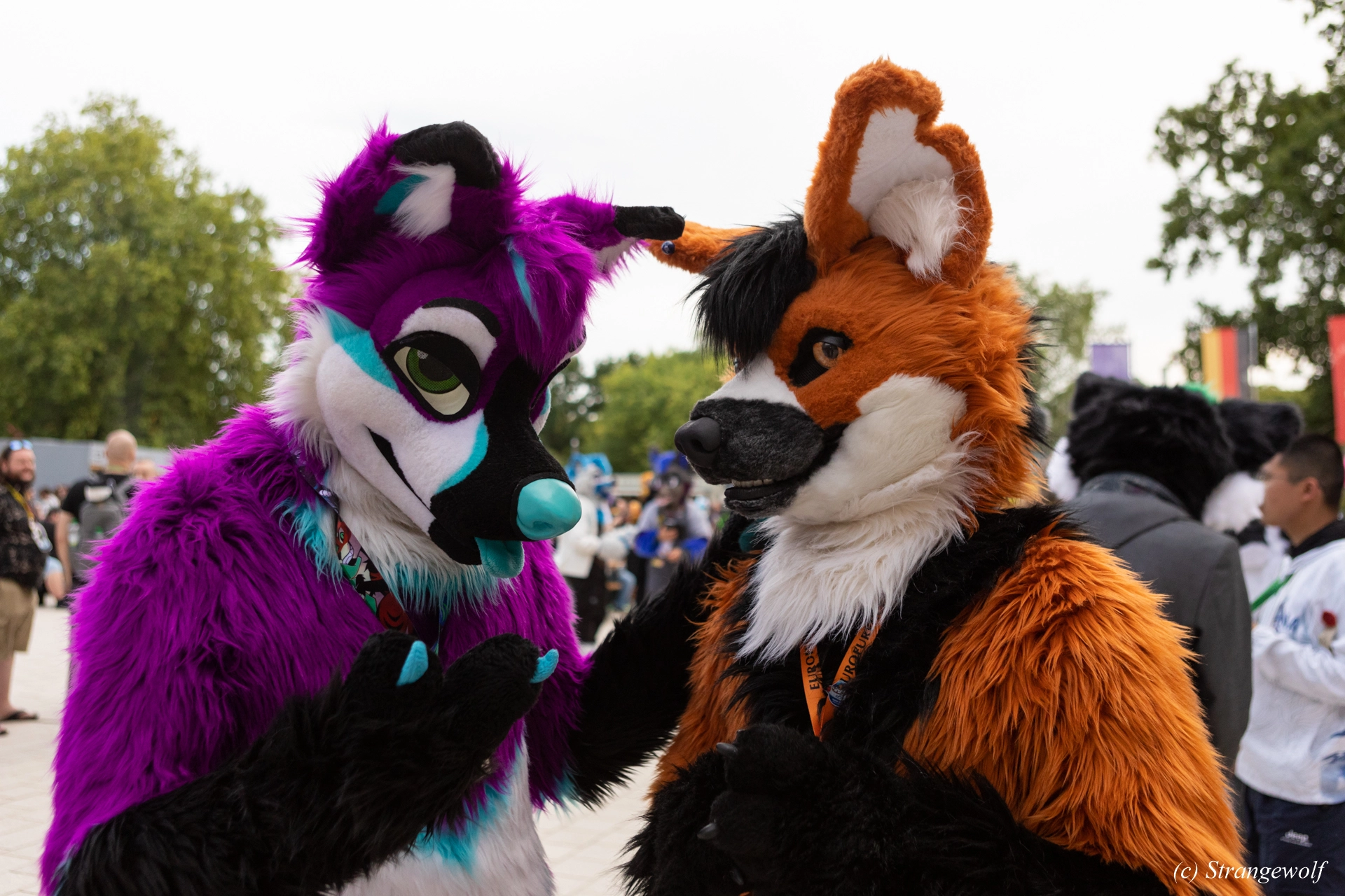 full image 1R3A9076-lr19t.jpg