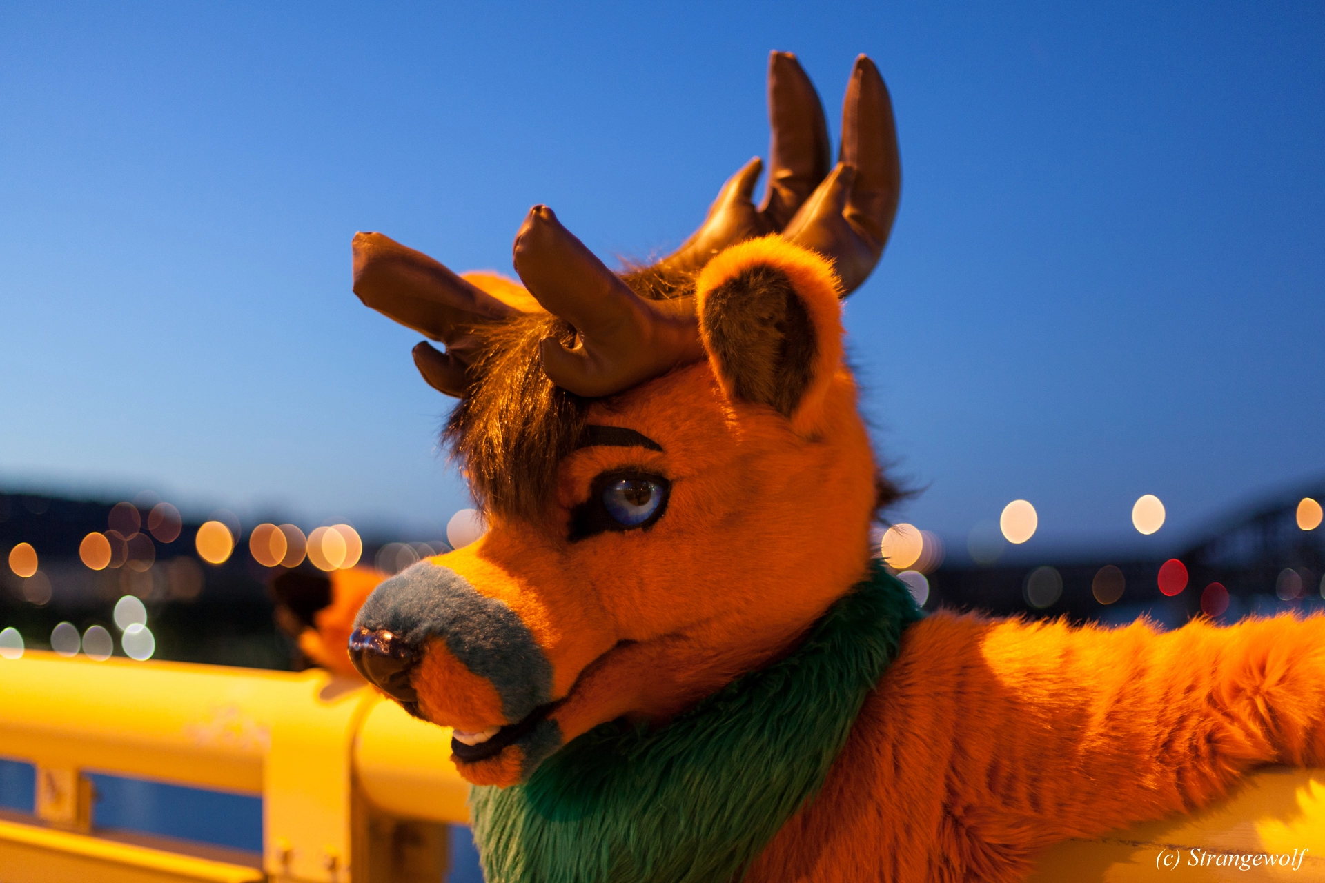 full image IMG_4553-lr19t.jpg