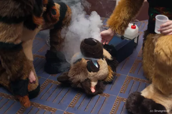 IMG_8048-lr19t.jpg of MFF/MFF2019/