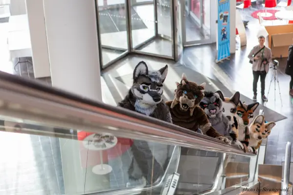 IMG_0395-lr19t.jpg of NFC/NFC2018/OFA-Shoot/