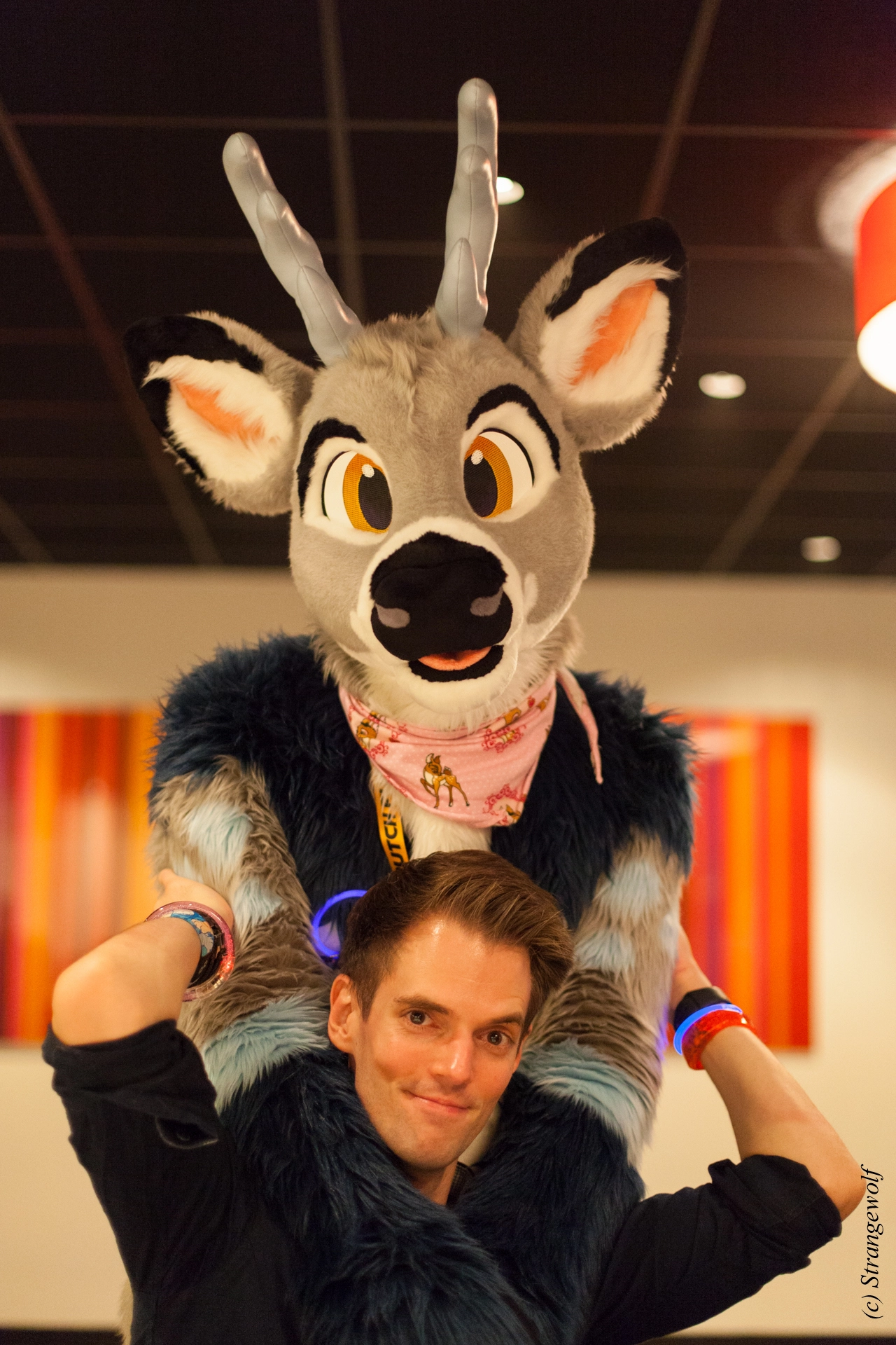 full image IMG_6360-lr19t.jpg