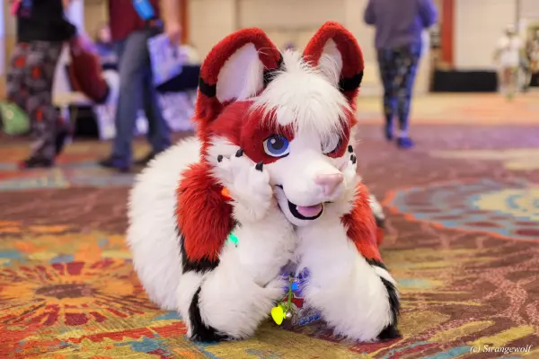 IMG_3118-lr19t.jpg of BLFC/2018/