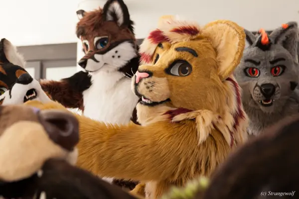 IMG_4922-lr19t.jpg of EF/EF24/Fotoshoot-Neonfurs/